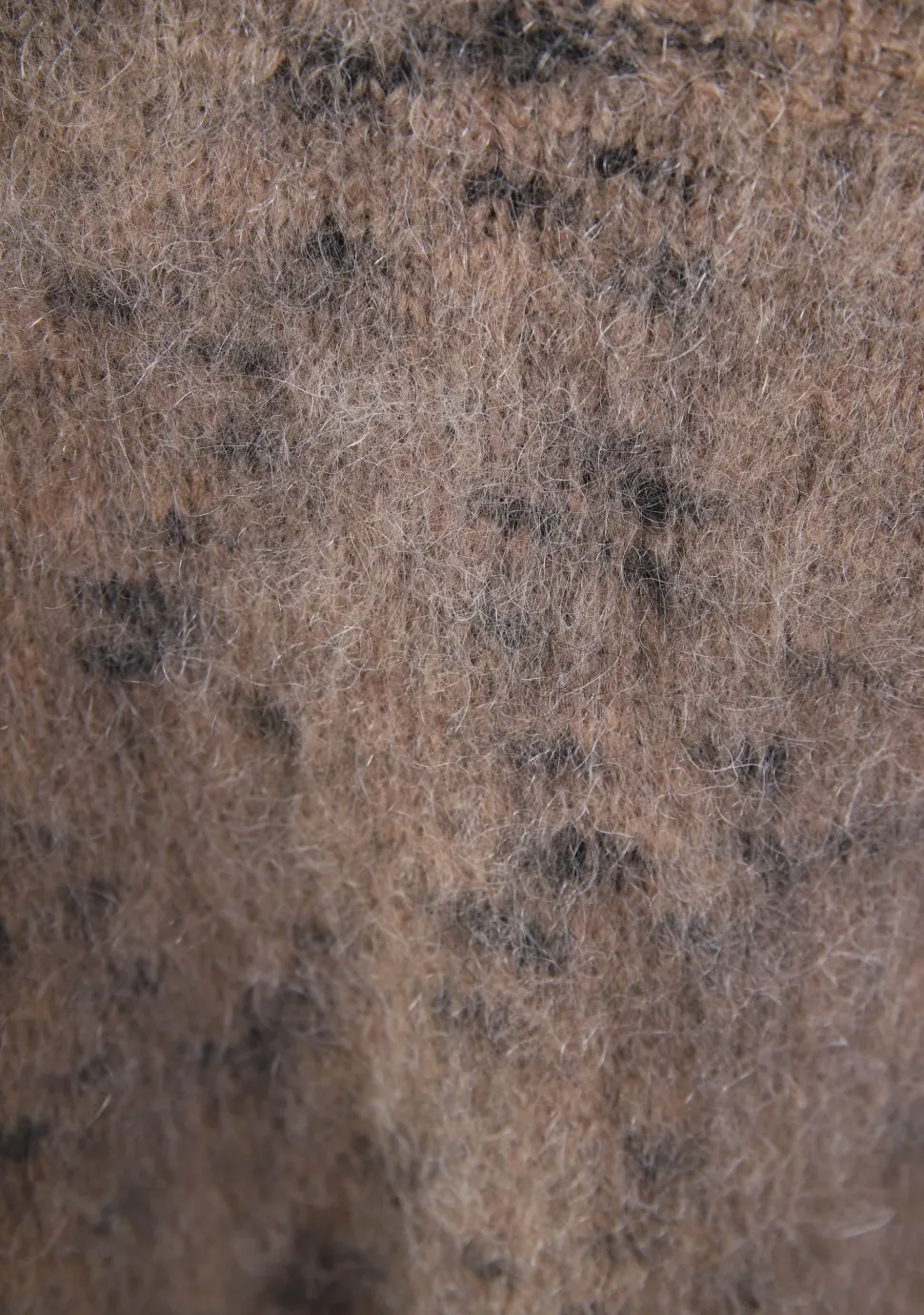 ANNA VAN TOOR TRUI
