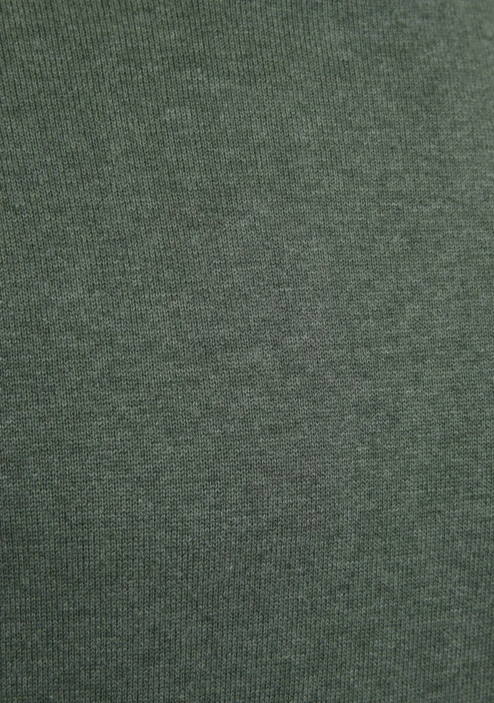 SCOTLAND BLUE COLTRUI