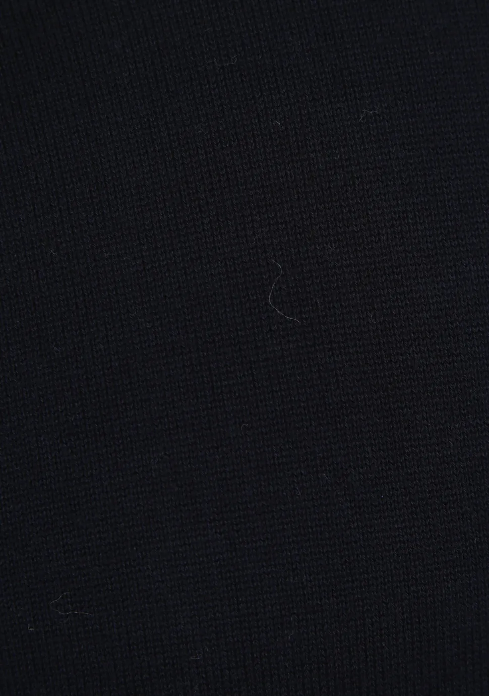 SCOTLAND BLUE COLTRUI